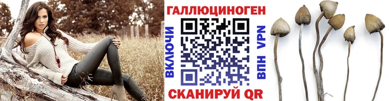 Галлюциногенные грибы мицелий  Верхняя Пышма 